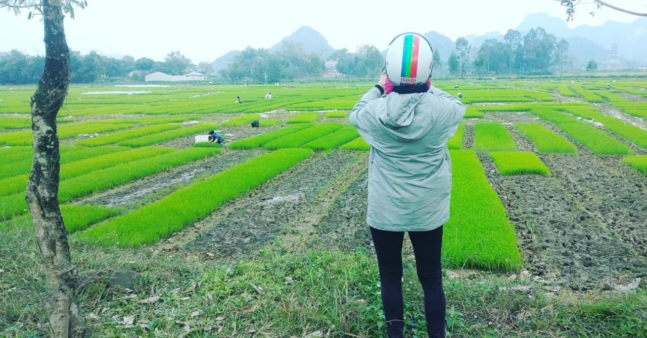 Sunny Trang An homestay Ninh Binh Eksteriør bilde