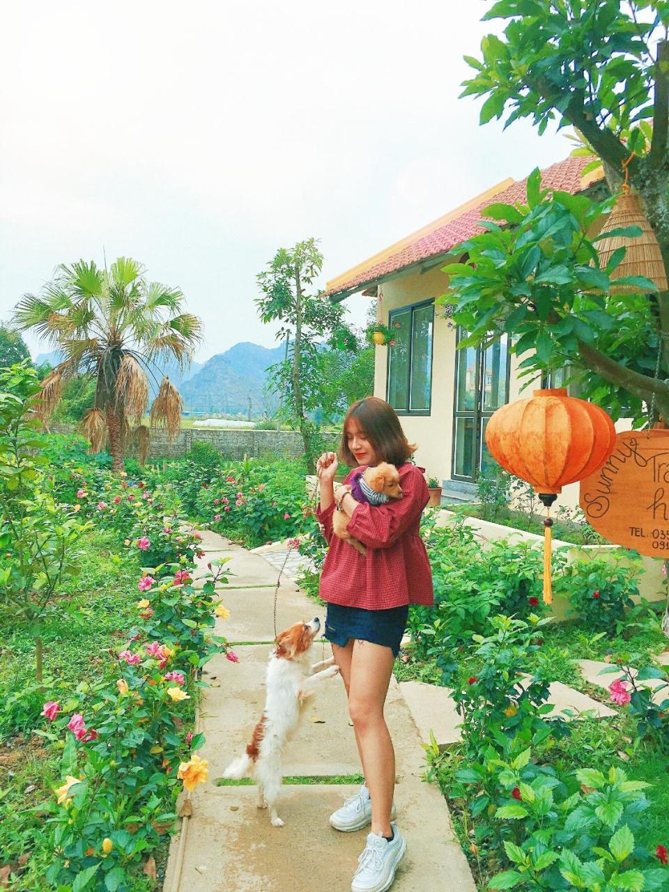 Sunny Trang An homestay Ninh Binh Eksteriør bilde