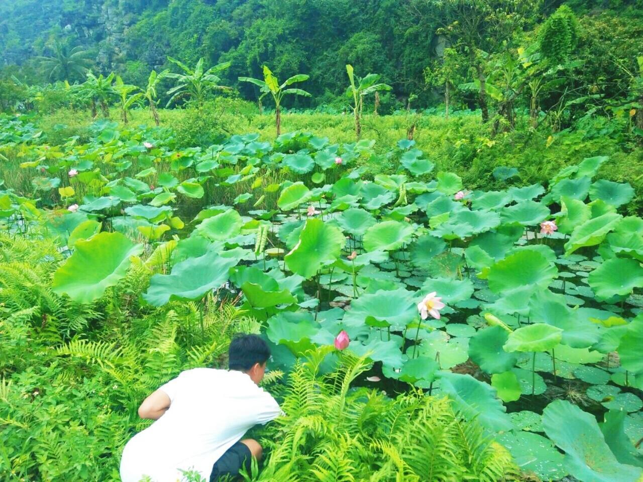 Sunny Trang An homestay Ninh Binh Eksteriør bilde