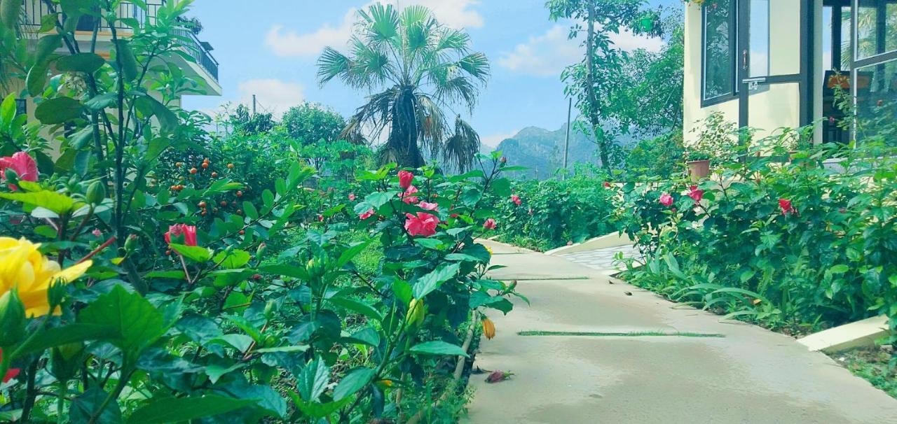 Sunny Trang An homestay Ninh Binh Eksteriør bilde
